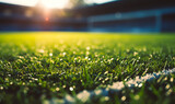 Vibrant Green Grass of Soccer Field at Sunset, Close-Up of Freshly Mowed Turf with White Boundary Line, Stadium Pitch Ready for Evening Match