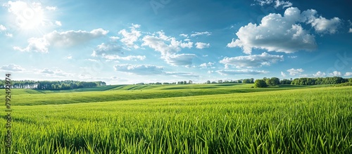 Beautiful Panorama of Rolling Green Fields. Spring or Summertime Background with White Fluffy Clouds and Natural Landscape. photo