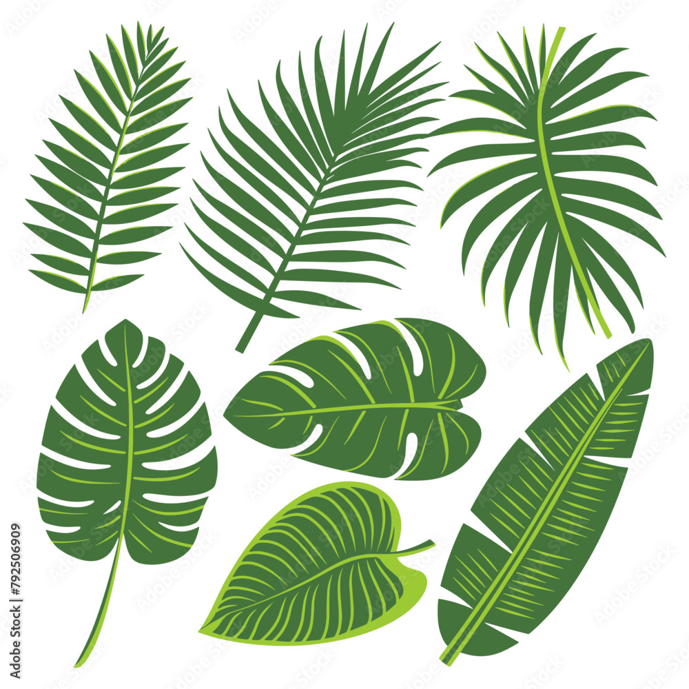 set of lush, green tropical leaves in various shapes and sizes rest on a clean white background