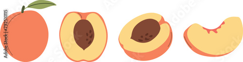 Peach set, peach slice, cut peach, tropical fruits, healthy and organic food, Vector illustration in flat style