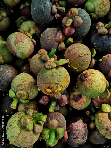 Thai fruit, mangosteen, mangosteen fruit picked from the mangosteen tree, mangosteen fruit piled together.