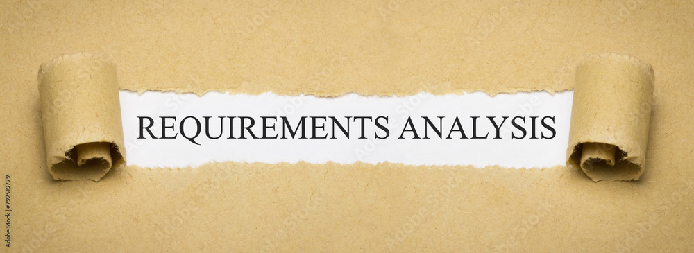 Requirements Analysis - obrazy, fototapety, plakaty 