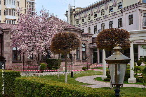 spring landscape with blooming magnolia near the hotel building in Essentuki, Russia photo