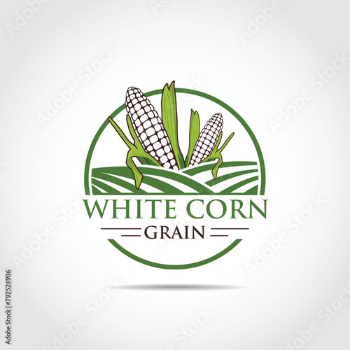 Field Corn Agriculture Logo template. Vector Illustrator