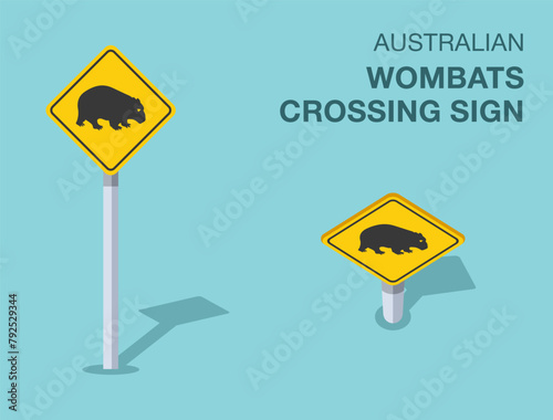 Traffic regulation rules. Isolated Australian "wombats crossing" road sign. Front and top view. Flat vector illustration template.