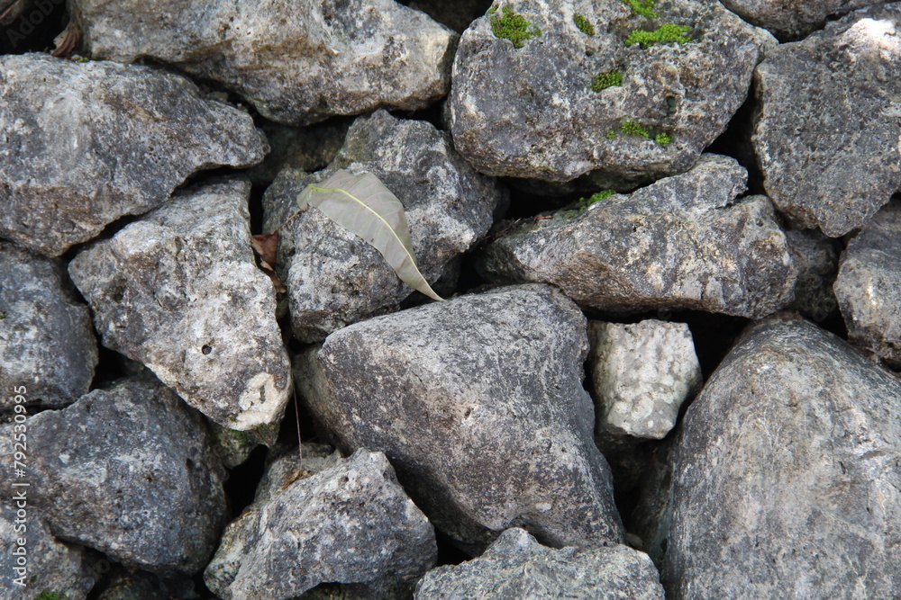 A sharp gray rock pile. Suitable for texture and background themes