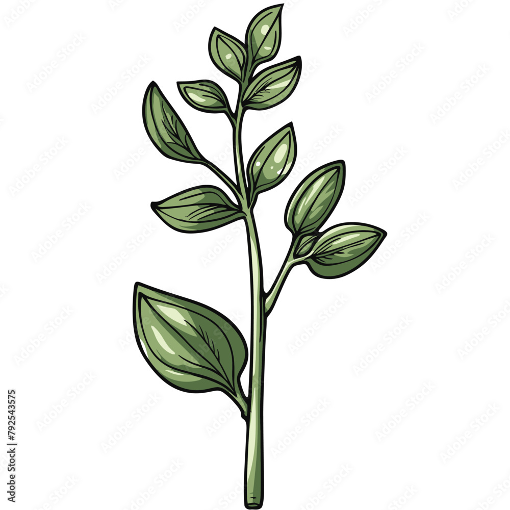 Illustration of a branch with green leaves on a white background.