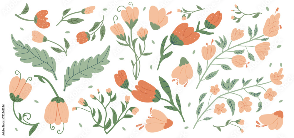 Flowers set. Wildflowers and leaves elements ornament. Vector hand drawn illustration.