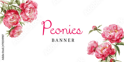 Watercolor pink peonies banner png. Template for wedding themes, invitations, and other events. Bouquets of pink peonies. vector watercolor botanical illustration.