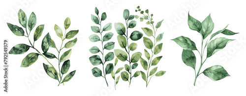 Watercolor set of various green leaves. Green twigs watercolor png. Vector illustration.