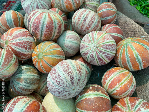 The Kajari melon, also known as the Delhi melon, is a small heirloom melon from the Punjab region of India that is known for its unique coloring. The fruit is copper red with green and cream stripes, 