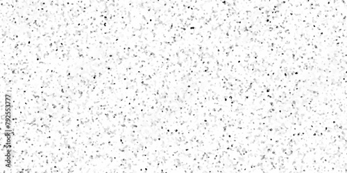 Terrazzo flooring texture background. Pattern of mosaic floor with stones  marble  quartz  concrete etc. Black and gray color paint splitted on white background