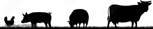 A farm animals scene with silhouettes of cows chicken, sheep and pig in a grass field scene landscape