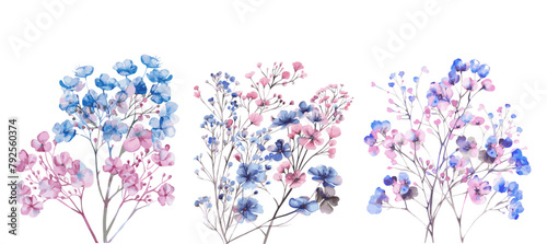 PA set of bouquets with gypsophila png. Watercolor pink and blue gypsophila on a transparent background. Elements for wedding invitations. Vector illustration.