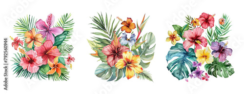 Tropical watercolor vector set of plants. Exotic leaf with leaves on isolated on transparent background. A collection of tropical plants with flowers for an invitation to a party or holiday.