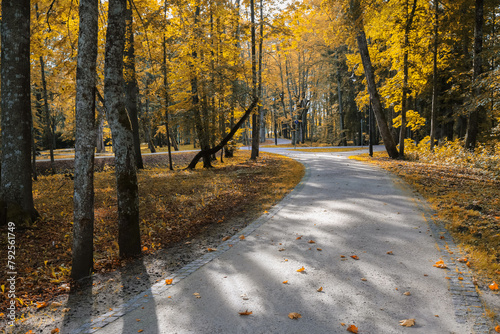 Fall in the Kemeri park, Latvia