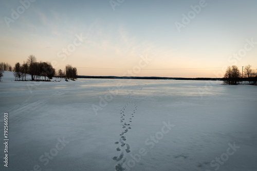 Footprints run toward the center of a frozen lake in the Swedish Countryside. Sunset colors shine on the horizon and are reflected on the ice below