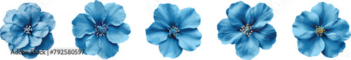 Blue Blooms Assortment, Various Design Elements, Isolated on Transparent Background, PNG with Clipping Path photo