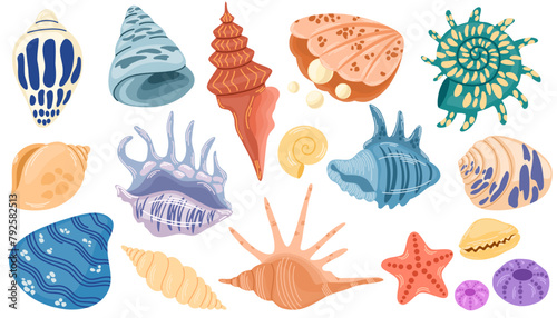 Sea shells set, mollusks, starfish. Trendy flat illustration of seashells collection isolated on white for stickers.