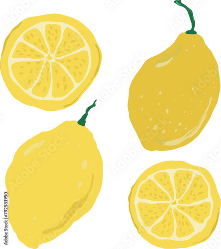 Vector abstract lemons set. Hand painted fruits isolated on white background. Holiday Illustration for design, print, fabric or background. (ID: 792583950)