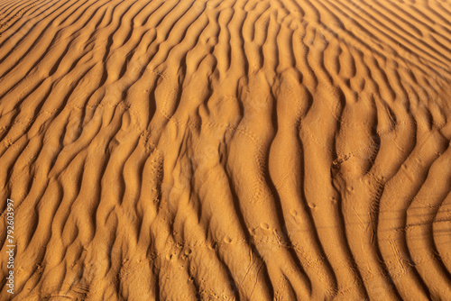 Golden desert sand dune texture with ripples created by the wind and animal tracks in United Arab Emirates.