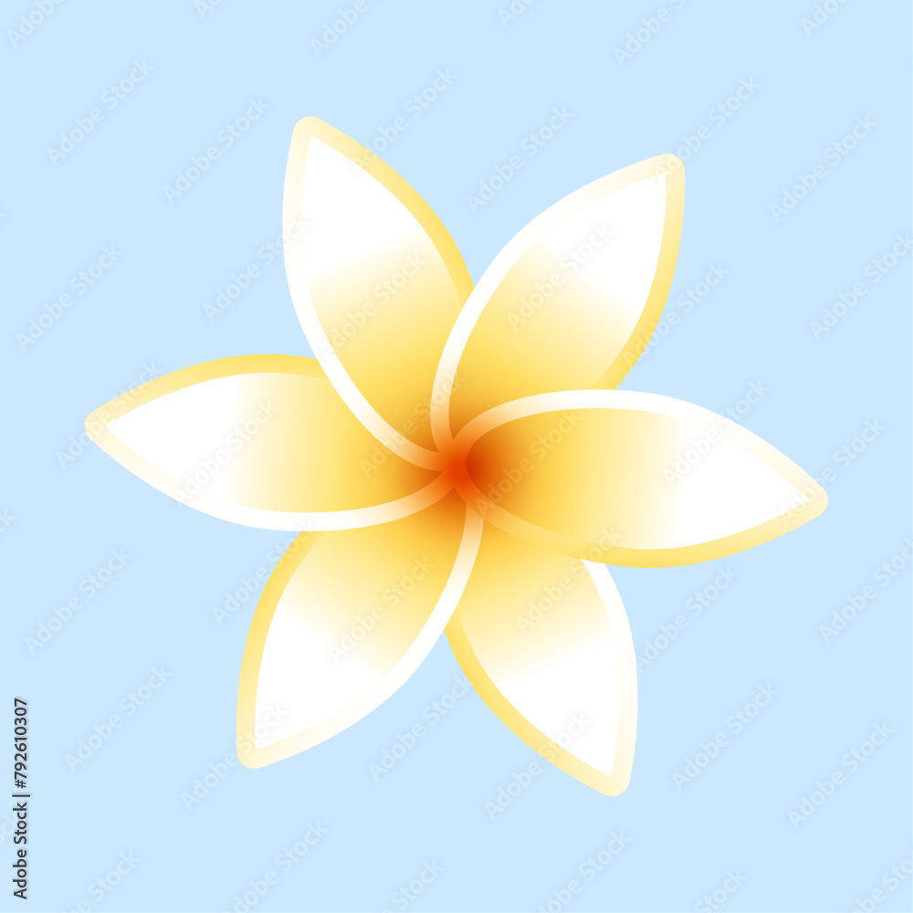 Plumeria flower png isolated on transparent background Plumeria flower png isolated on transparent background