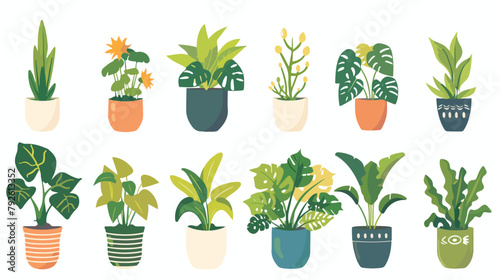 Set of office plants in pots. Vector flat style illustration