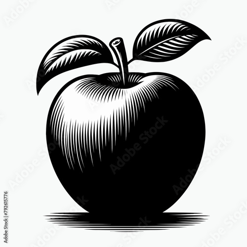  Apple silhouette vector illustration White Background photo