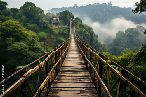 Suspension bridge over forest canopy shrouded in mist