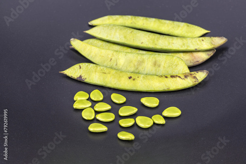 Wallpaper Mural Pods and seeds of Caesalpinna pulcherrima (L.) Sw. Torontodigital.ca