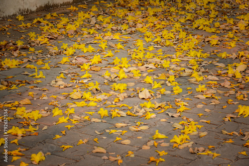 A pile of yellow leaves on a brick walkway