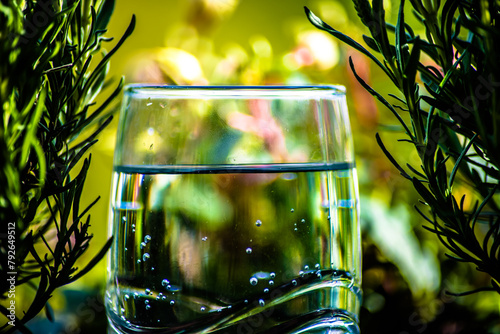 Ein Glas Wasser stehend zwischen zwei Pflanzen in der Natur