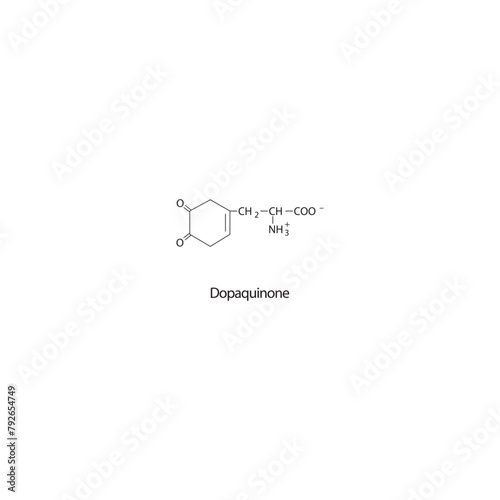 Dopaquinone skeletal structure diagram.Dopamine metabolite compound molecule scientific illustration on white background. photo