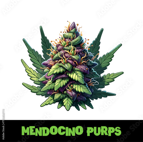 Vector Illustrated Mendocino Purps Cannabis Bud Strain Cartoon (ID: 792656774)