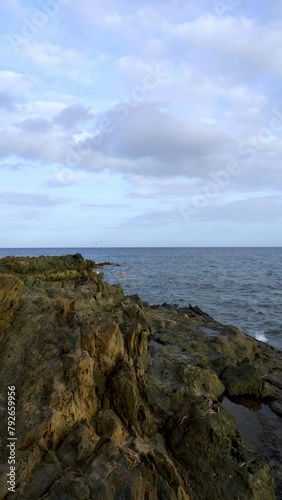 Wallpaper Mural The seagull glides near the lava rocks of the coast of the Canary Islands Torontodigital.ca