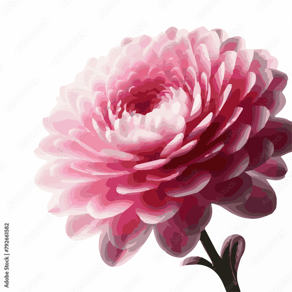 Beautiful flower watercolor vector illustration isolated on transparent background	
