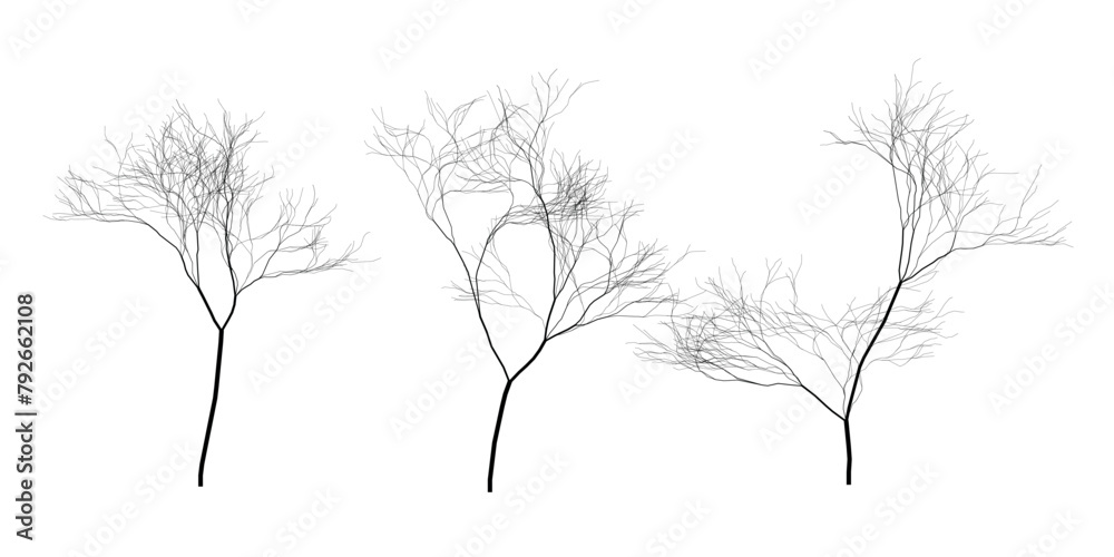 Vector Trees On A White Background Three Black Vector Trees On A White
