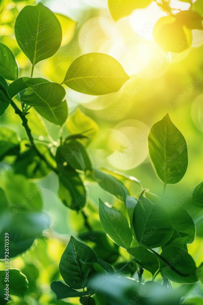 Sun-Kissed Leaves Offering a Glimpse of Nature's Serene Beauty - Generative AI Sun-Kissed Leaves Offering a Glimpse of Nature's Serene Beauty - Generative AI