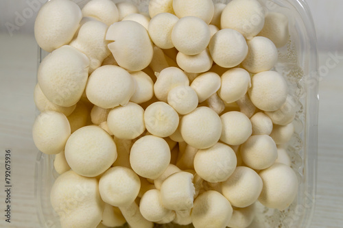A close up of white shimeji mushrooms in a plastic container