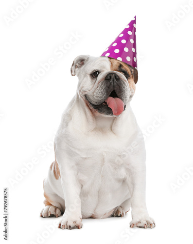 Cute dog with party hat on white background © New Africa