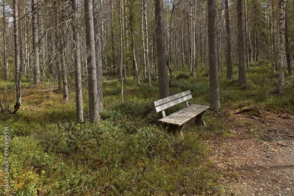 Park bench in forest on hiking trail to Myllykoski rapids in spring, Oulanka National Park, Kuusamo, Finland. Park bench in forest on hiking trail to Myllykoski rapids in spring, Oulanka National Park, Kuusamo, Finland.