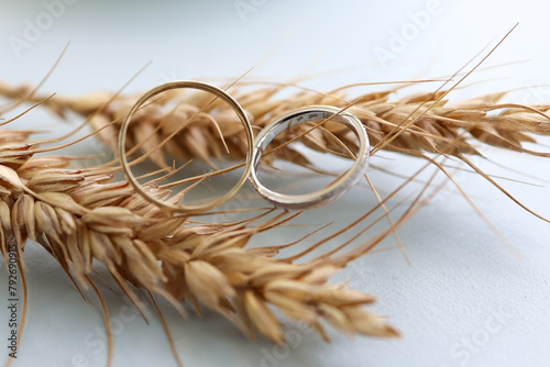 Pair of wedding ring on a wheat ear. photo