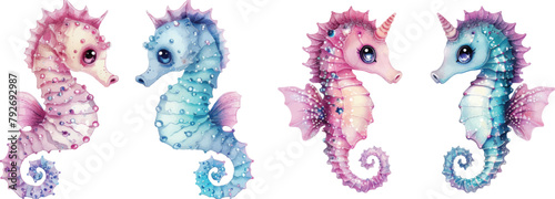 Beautiful seahorse cartoon vector illustration