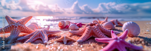 bannière web remplie d'étoiles de mer roses posées sur le sable d'un plage