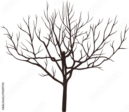Tree silhouette for the landscape design. Entourage design. Vector illustration.