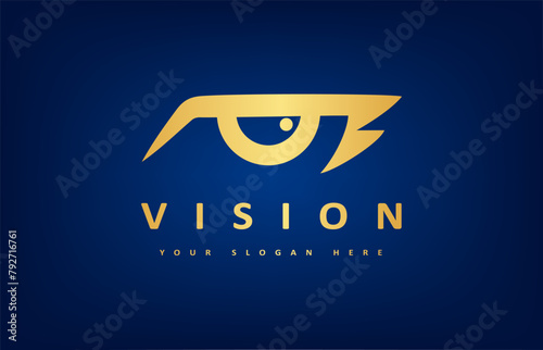 Eyes logo vector. Ophthalmologic clinic design
