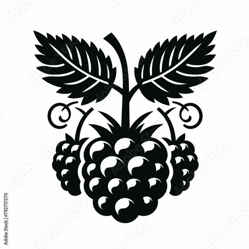 Blackberry silhouette vector illustration White Background