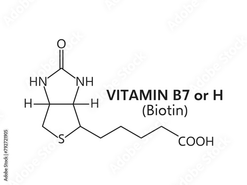 Vitamin b7 or biotin molecular formula c10h16n2o3s. Vector structure or scheme includes a sulfur-containing ring and is crucial for metabolic processes and maintaining healthy skin, hair, and nails photo