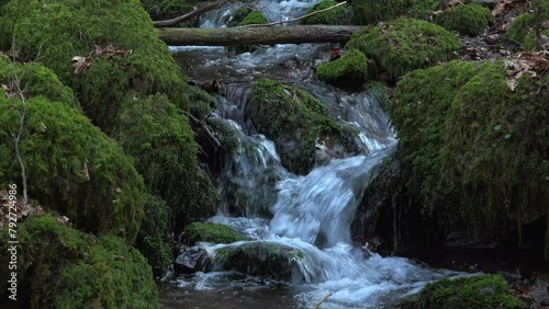 little brook flowing on moss covered stones kastel staadt rhineland palatinate germ SBV 338351392 4K  photo