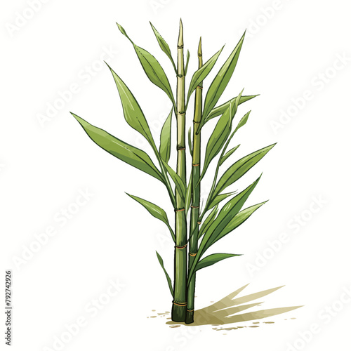 Sugar cane isolated on white background. Vector hand drawn illustration.